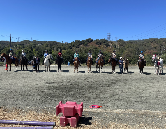 Stable community