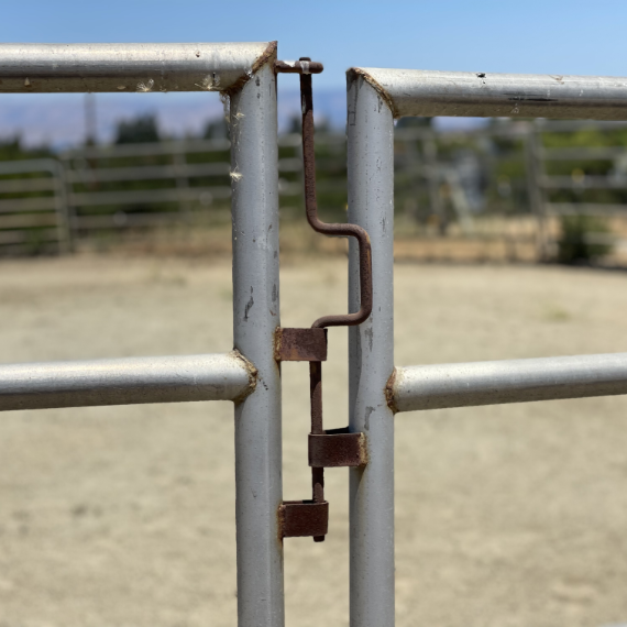 Pasture fencing